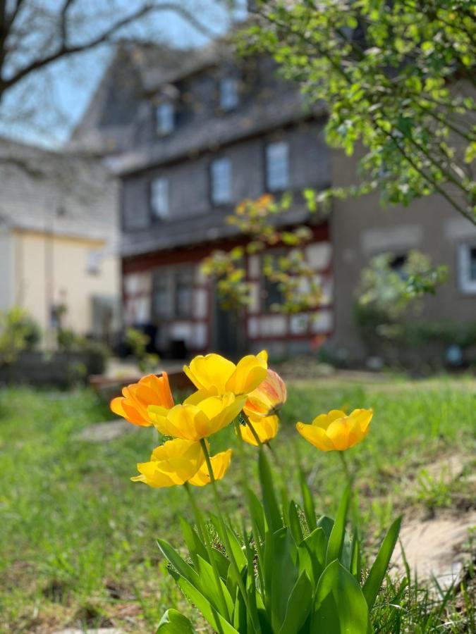 Hotel Altes Zehnthaus Geierlay Mittelstrimmig Exterior foto